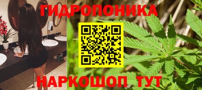 кокс Аргун